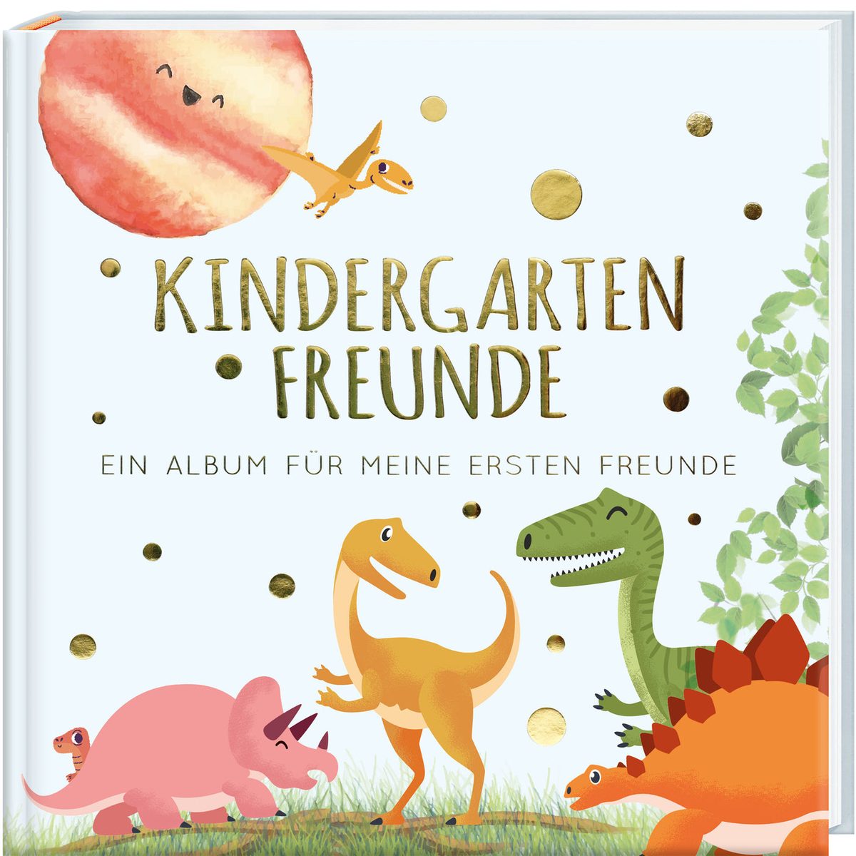 Kindergartenfreunde – DINOS – Cover