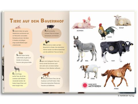 Mein erstes Soundbuch – TIERSTIMMEN – Ansicht 3